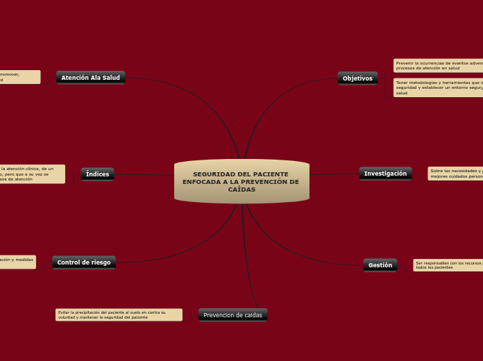 SEGURIDAD DEL PACIENTE ENFOCADA A LA PR...- Mapa Mental