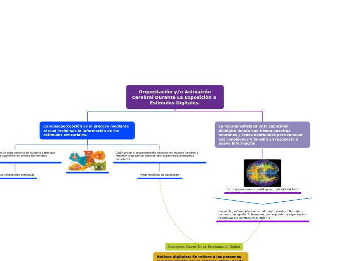  Orquestación y/o Activación Cerebral Durante La Exposición a Estímulos Digitales.