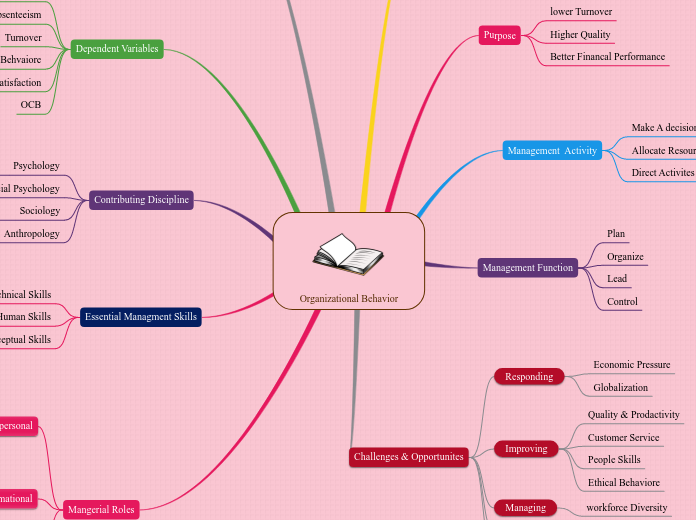 Organizational Behavior