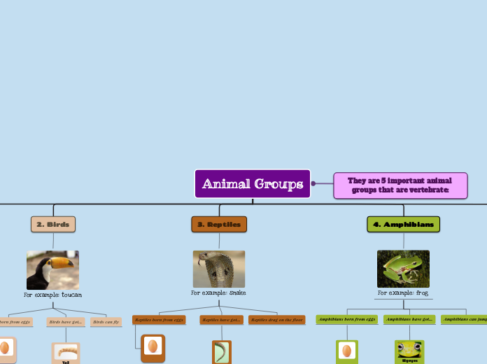 Animal Groups