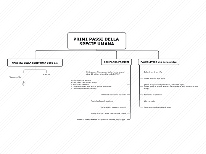 PRIMI PASSI DELLA SPECIE UMANA