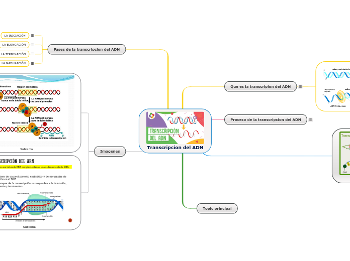 Transcripcion del ADN