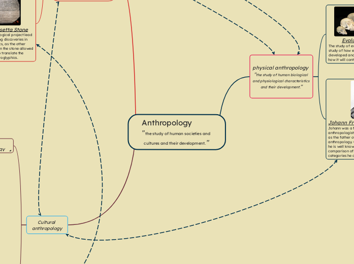 Anthropology                "the study of human societies and cultures and their development. "