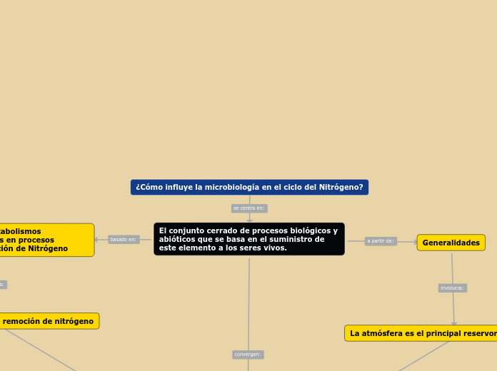 Mapa conceptual ciclo del Nitrógeno