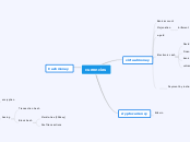 currencies - Mind Map