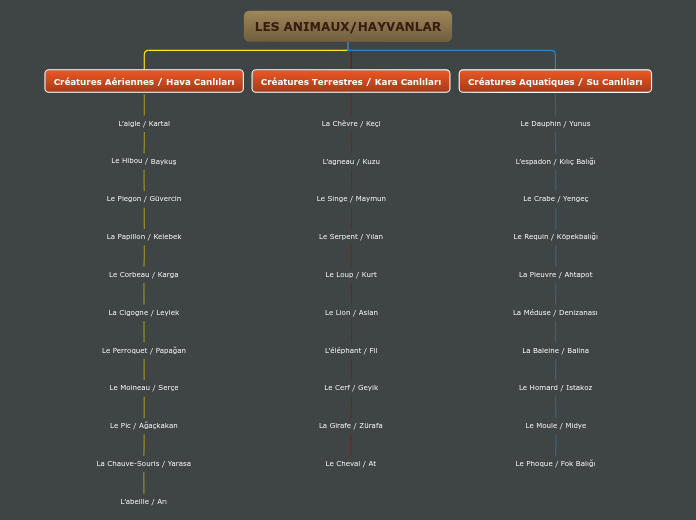 LES ANIMAUX/HAYVANLAR - Mind Map