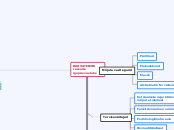 RAHVATERVIS ressurss igapäevaeluks - Mind Map