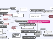 Antecedentes de las compensaciones en e...- Mapa Mental