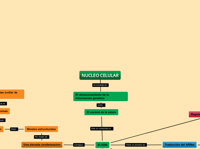 NUCLEO CELULAR