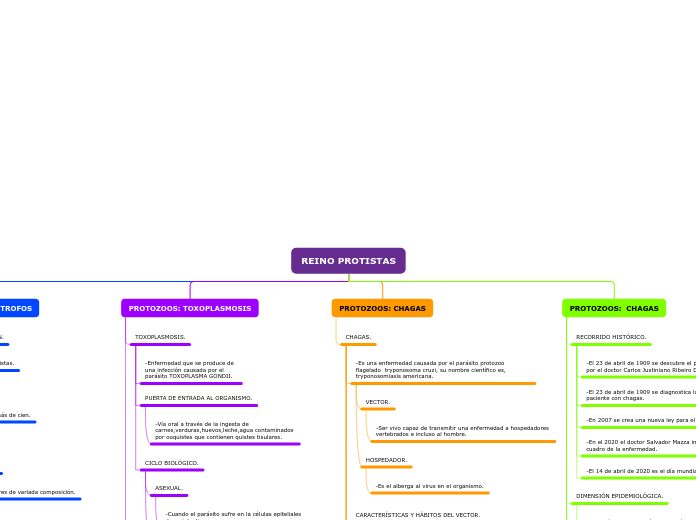 Organigrama arbol