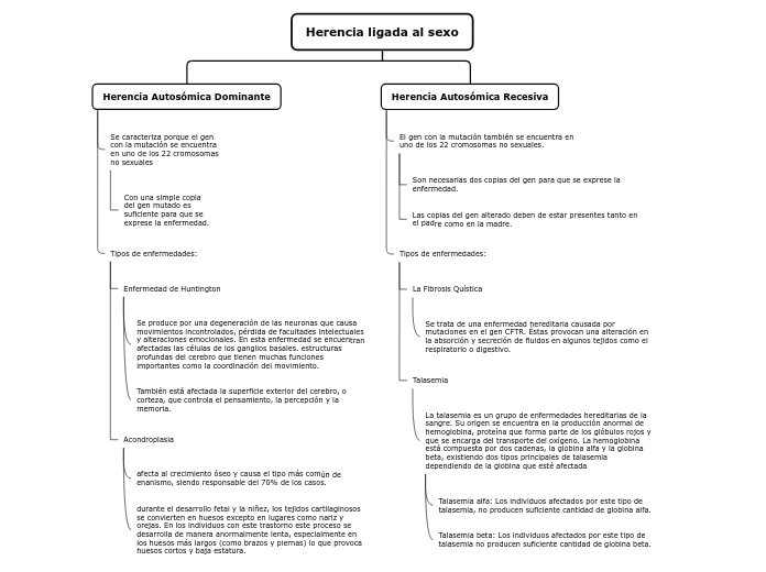 Organigrama arbol