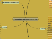 Francesinha a M.A e Almeida lda. - Mapa Mental