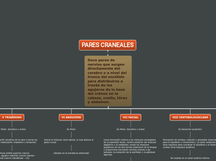 Mapa_Conceptual_Pares_Craneales_Carolina_Martínez