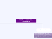 TEORÍAS DEL SISTEMA          PLANETARIO - Mapa Mental