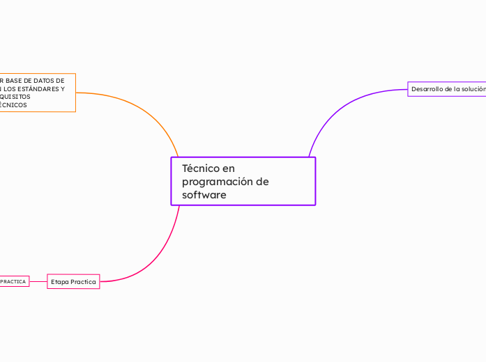 Técnico en programación de software 