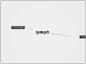 lymph - Mind Map