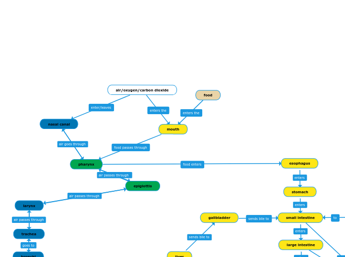 mouth - Mind Map