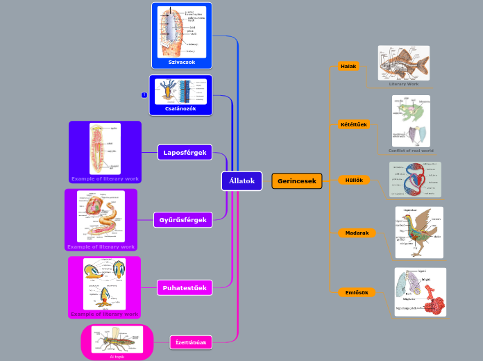 Állatok - Gondolattérkép