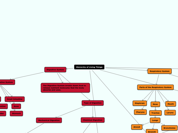 Hierarchy of Living Things