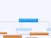 PLE MONICA VASQUEZ - Mapa Mental