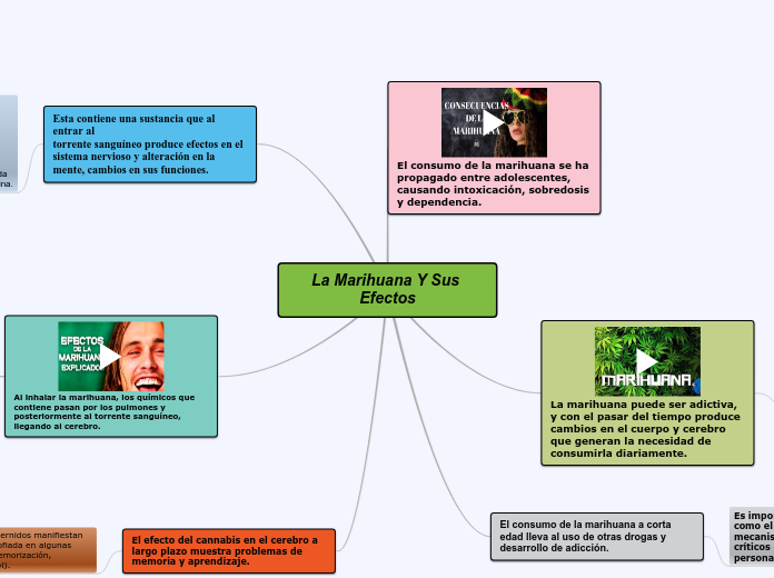 La Marihuana Y Sus Efectos