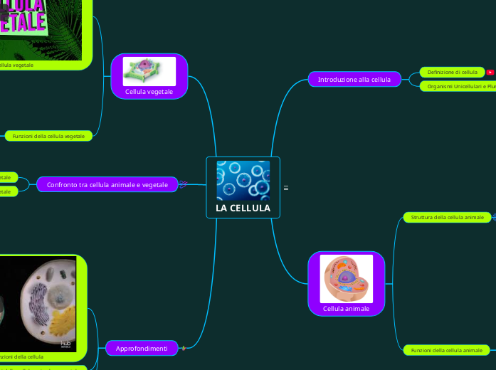 Mappa concettuale sulla cellula: