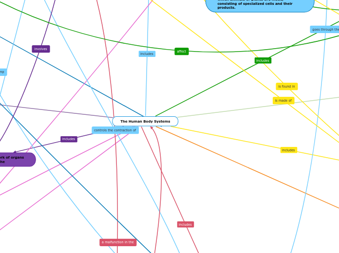 The Human Body Systems