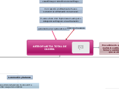 ARTROPLASTIA TOTAL DE CADERA - Mapa Mental