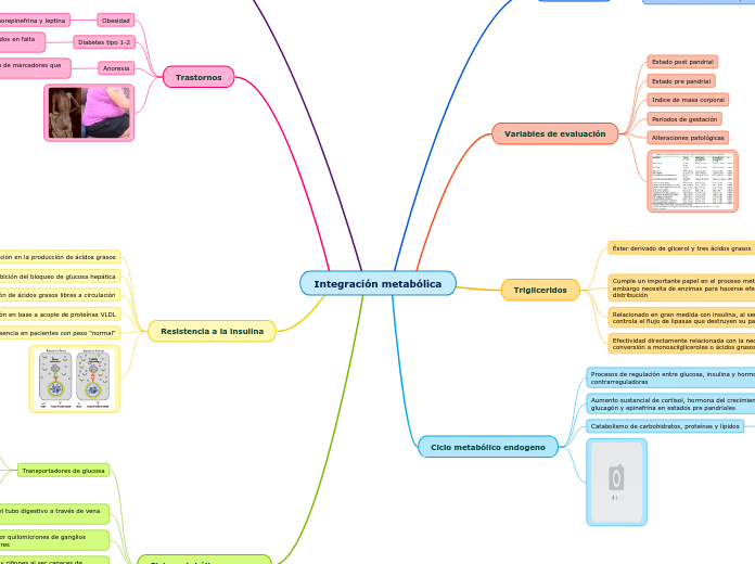 Integración metabólica