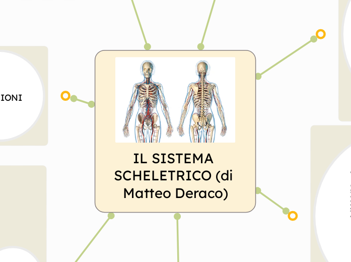 IL SISTEMA SCHELETRICO (di Matteo Deraco)