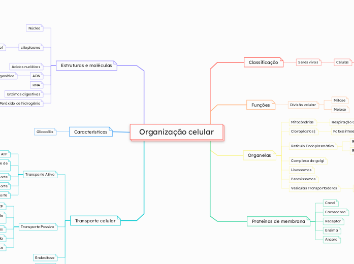 Organização celular