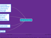 ¿ QUE SON LOS MUROS? - Mapa Mental