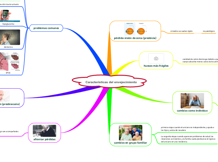 Características del envejecimiento