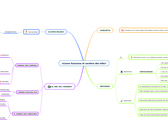 ¿Como funciona el cerebro del niño?