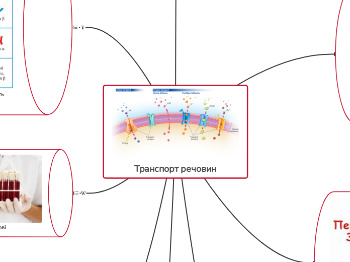 Транспорт речовин - Мыслительная карта