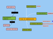 POOL DI AMMINOACIDI - Mappa Mentale