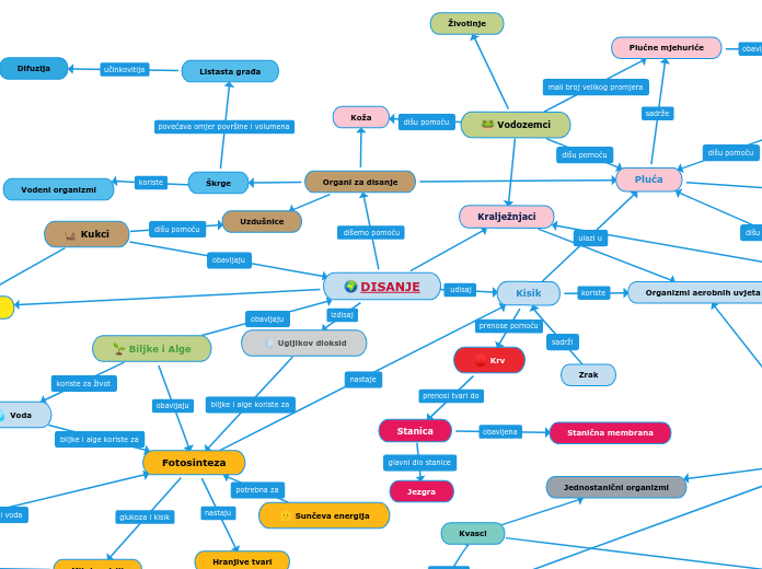 DISANJE - Mind Map