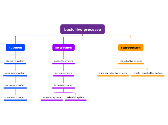 basic live processe