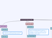 Convivencia Democrática - Mapa Mental