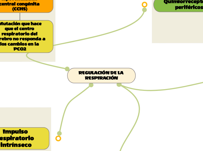 REGULACIÓN DE LA RESPIRACIÓN