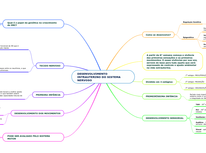 DESENVOLVIMENTO INTRAUTERINO DO SISTEMA NERVOSO
