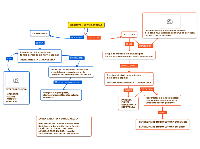DERMATOMAS Y MIOTOMAS
