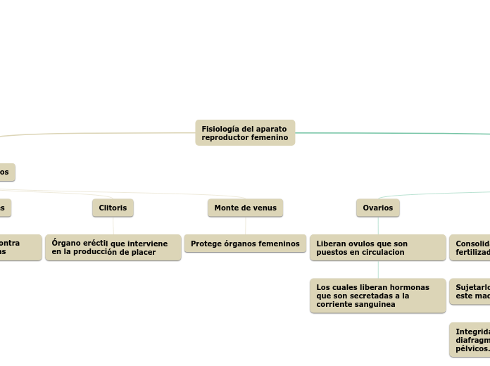 Fisiología del aparato reproductor femenino