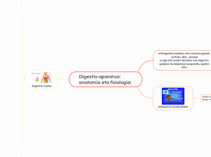 Digestio-aparatua: anatomia eta fisiologia: