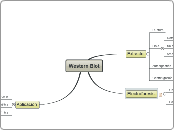 Western Blot