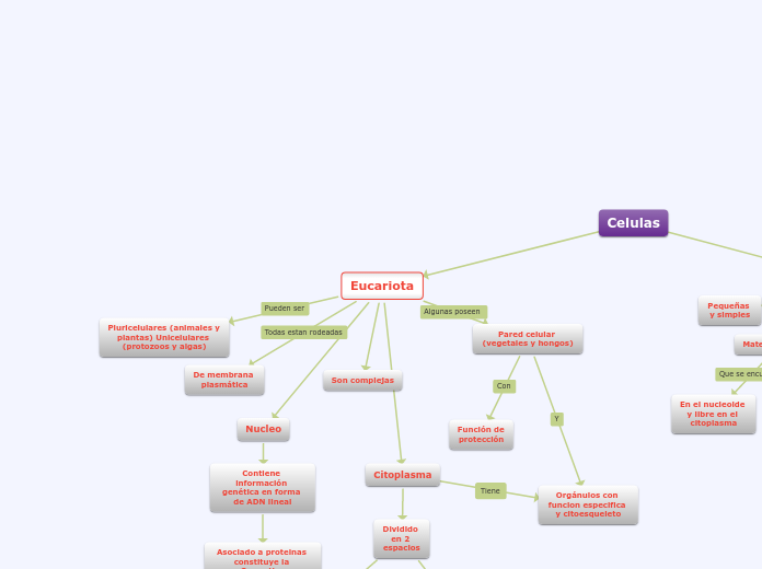 Mapa conceptual, Células