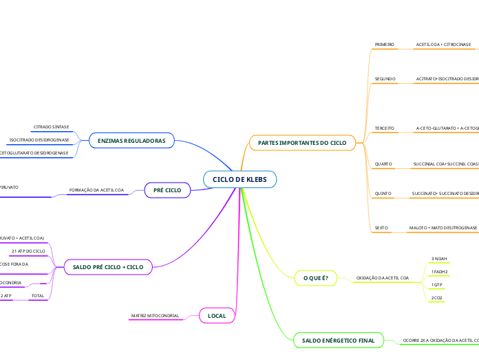 CICLO DE KLEBS