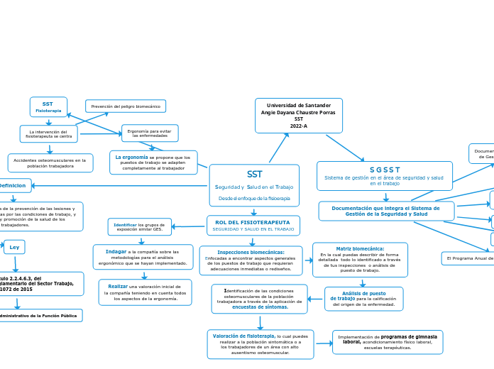 SST
Seguridad y  Salud en el Trabajo
Desde el enfoque de la fisioerapia