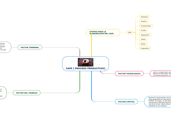 CAFE ( PROCESO PRODUCTIVO)