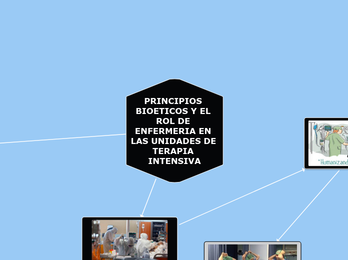 PRINCIPIOS BIOETICOS Y EL ROL DE ENFERMERIA EN LAS UNIDADES DE TERAPIA INTENSIVA